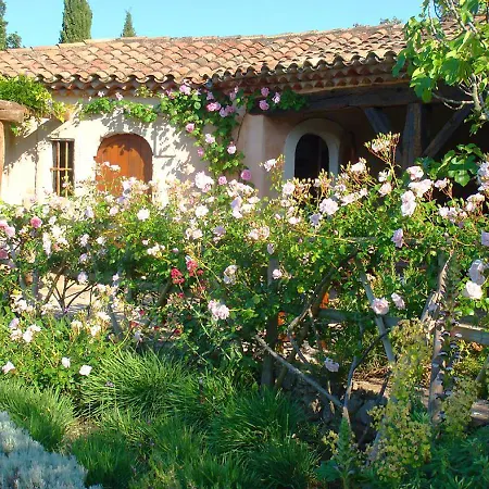 Villa Elaiza-2