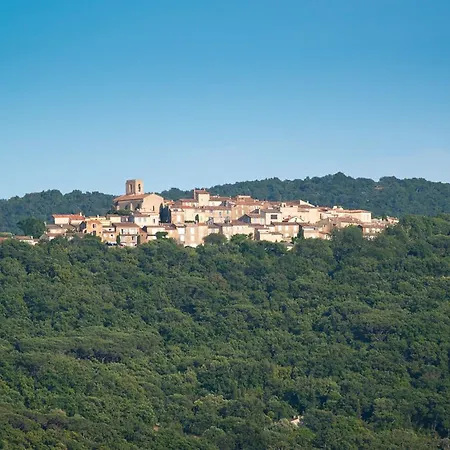 Villa Zara - Saint Tropez Holiday Villa-3