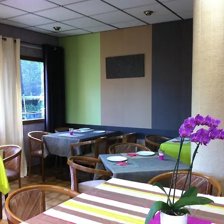 Citotel Altess Hotel Annecy Sud-2