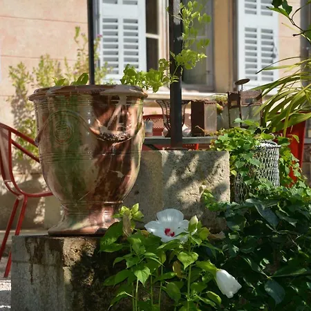 Les Passiflores-3
