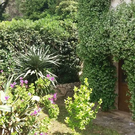 Maisonette La Pinede-3