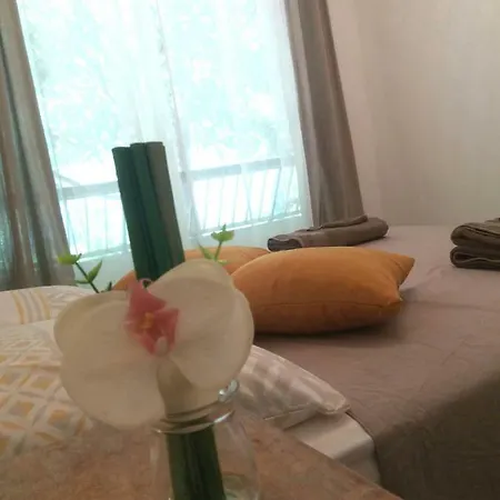 Residences Fleuries - Behind Cannes Croisette Bvd-2
