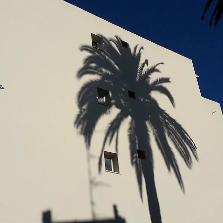 Les Pins . 2 P Calme Et Terrasse-2