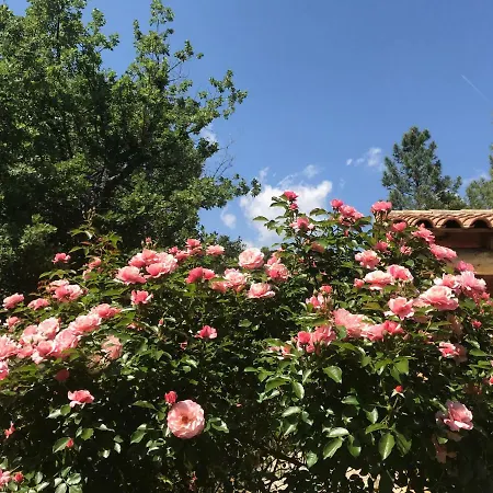 Le Clos Des Cigales-3