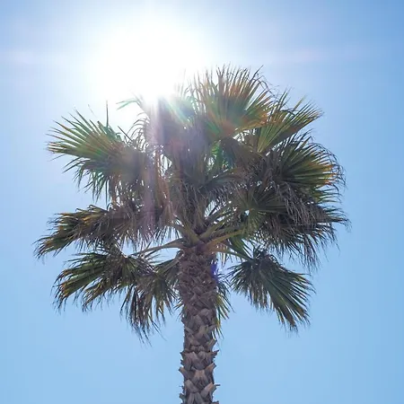 Ds One Vacances, Prairies De La Mer-2