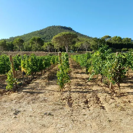 Domaine De La Navicelle - Oiseaux 2-2