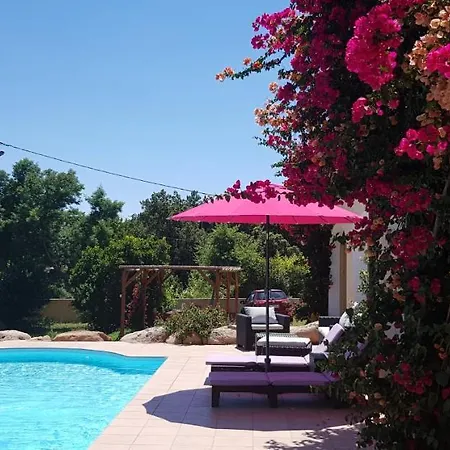 Cyrnea B&B - Adults Only-3