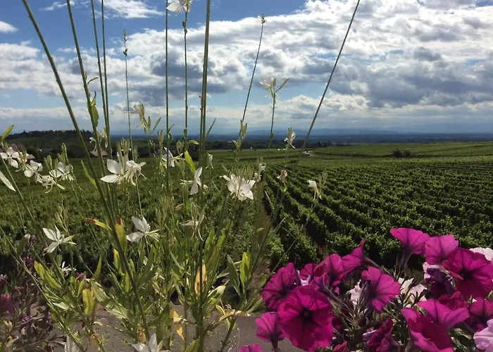 Gite Riquewihr C'est Beau la Vie Alsace