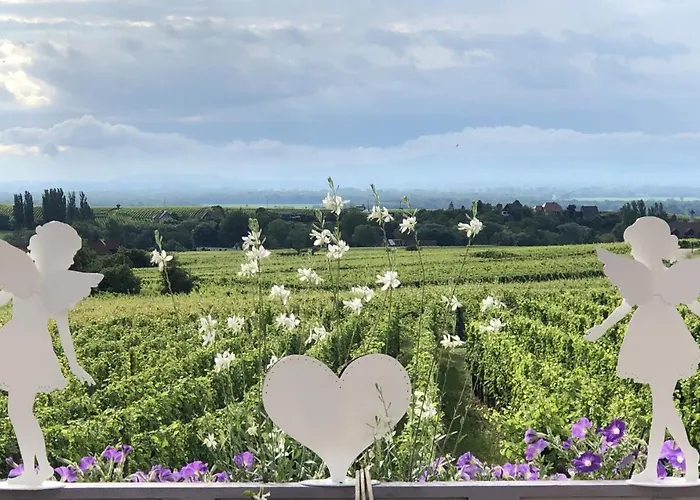 Gite Riquewihr C'est Beau la Vie Alsace