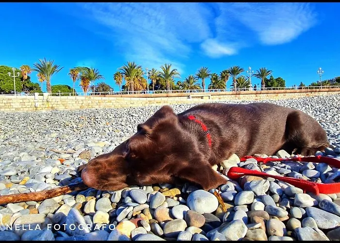 Le Petit Trianon Et Le Charme Des Suites Nice