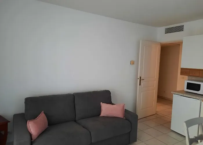 joli F2 46m2 menton centre, balcon,parking Appartamento che accetta animali