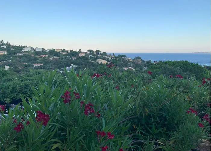Villa Provencale Avec Vue Mer Panoramique Le Lavandou