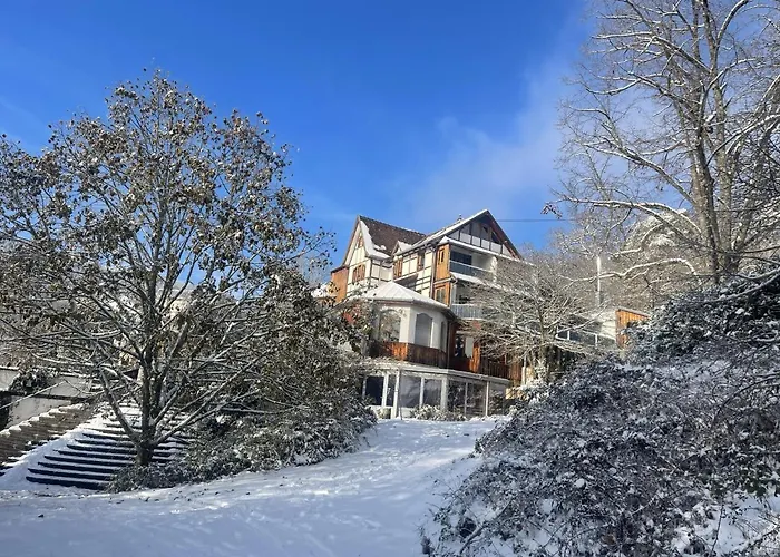 Le Manoir des Sens - Forêt de Bergheim
