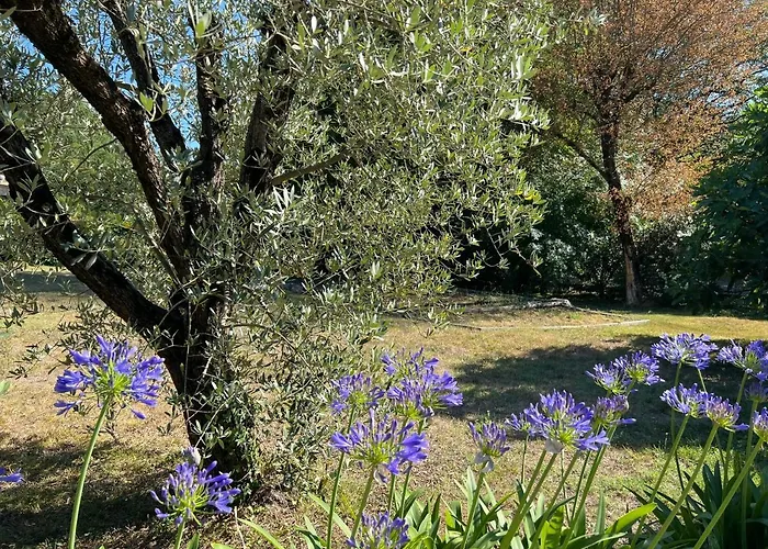 La Petite Maison Bleue Saint-Paul-de-Vence