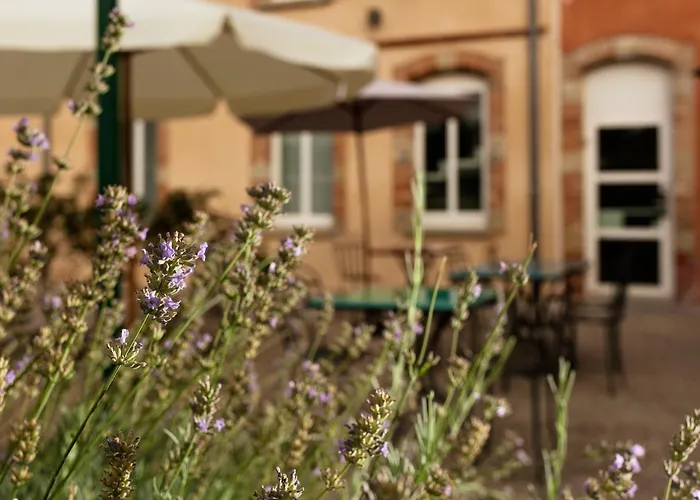 Hotel ibis Styles Toulouse Lavaur