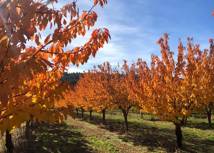 CARLIN Ferme Haute Prairie Lourmarin