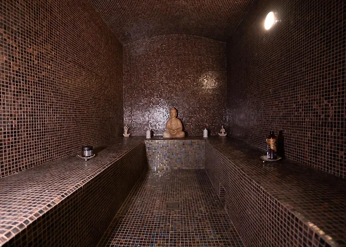 CARACALLA PRIVE - Chambres d'hôtes avec Piscine, Jaccuzi et Hammam privatifs Saint-Etienne 