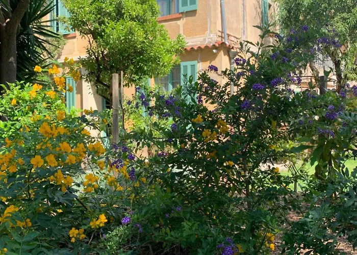 La villa des Amandiers Hyères