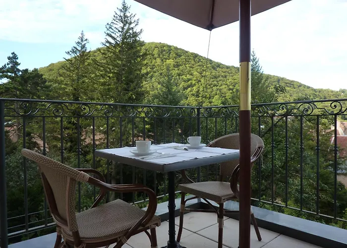 Hotel Restaurant Spa Le Sauvage Besançon
