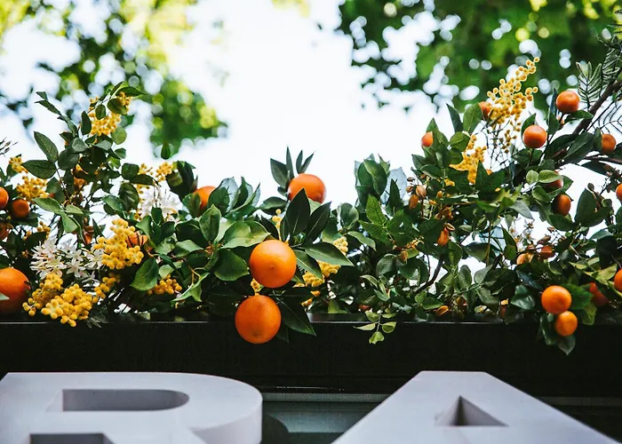 Boutique Grand Hotel De La Gare Toulon - Boutique Hotel