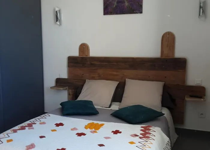 Chambres d hotes Violetta Hyères acceptant les animaux
