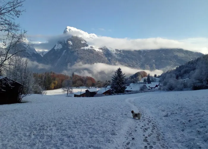 Fermes De Vercland Studio 2 Places Samoëns