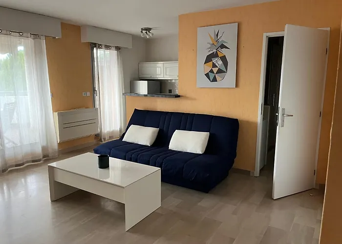 Appartement Les Palmiers - Vacances Cote D'Azur Cannes admite animales