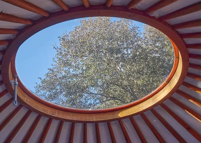 Ecolodges En Provence Saint-Maximin