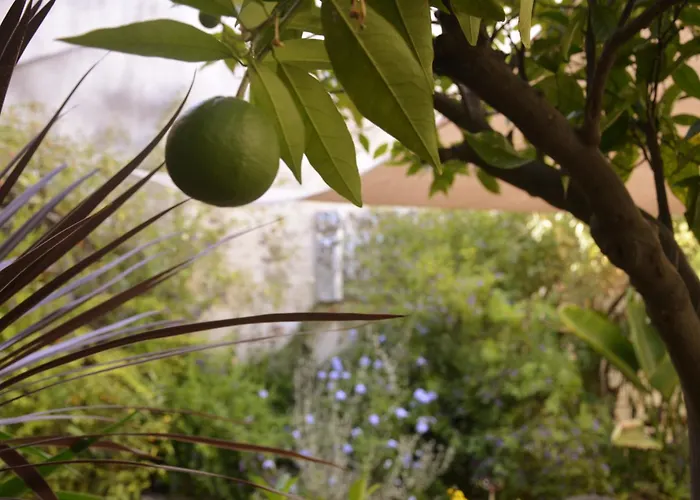 La Maison des Augustins 4 stars Spa et Fitness Avignon