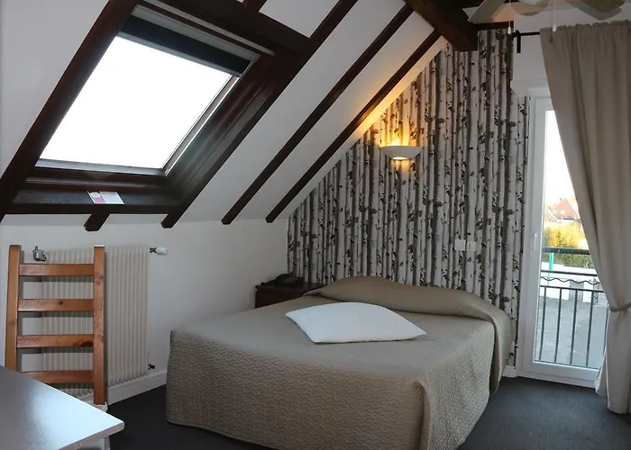 Hotel Le Domino Illkirch-Graffenstaden