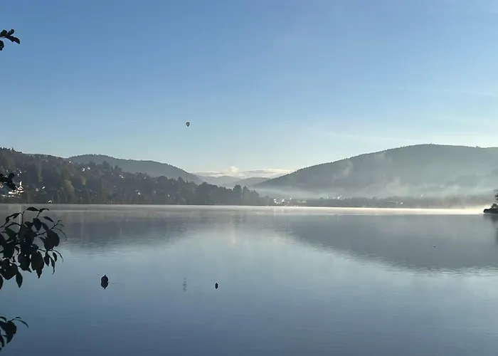Appart'Hotel Lido Au Bord De L'Eau Gérardmer