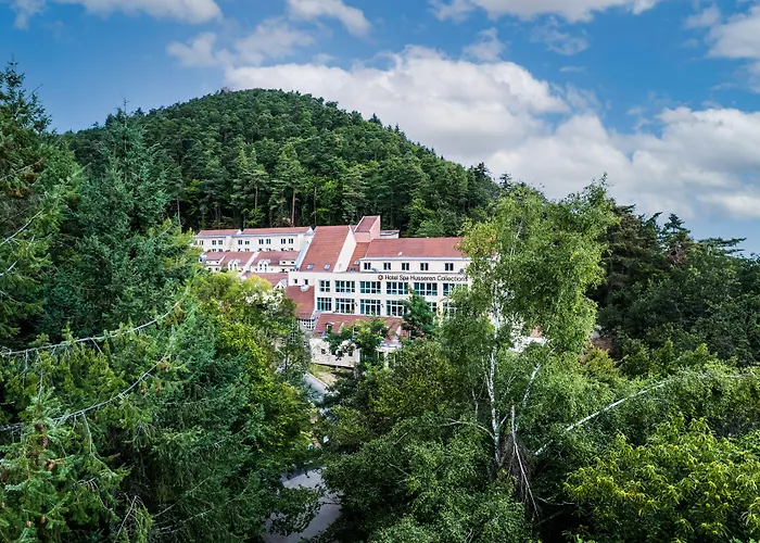 Hotel Spa Restaurant Husseren Collections - Proche Colmar - Eguisheim