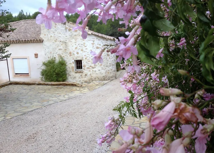La Desirade Chambres D'Hotes En Provence Ceyreste