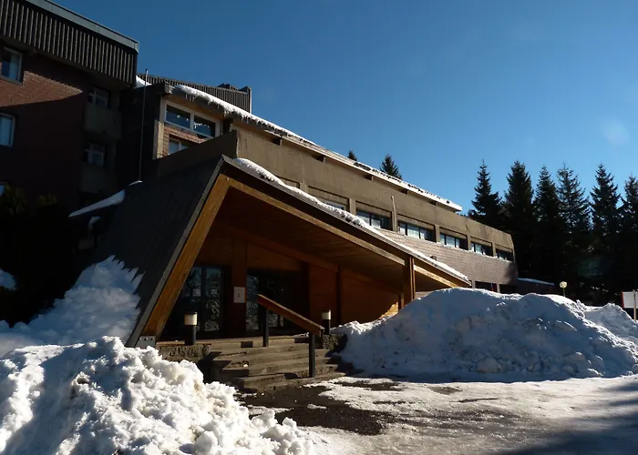 VVF Villages  Massif du Sancy  Super-Besse