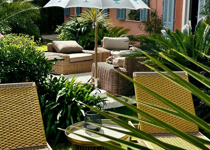 Un palmier à sa fenêtre Grasse