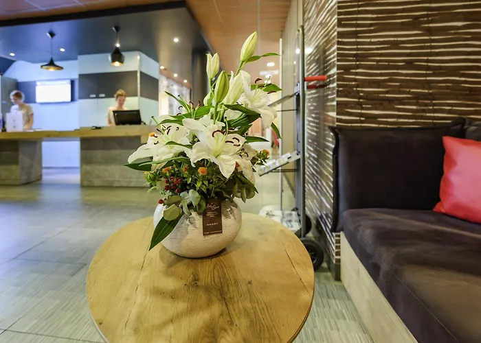 Hotel ibis Avignon Centre Pont De L'Europe