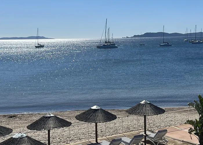Hotel La Potiniere Hyères