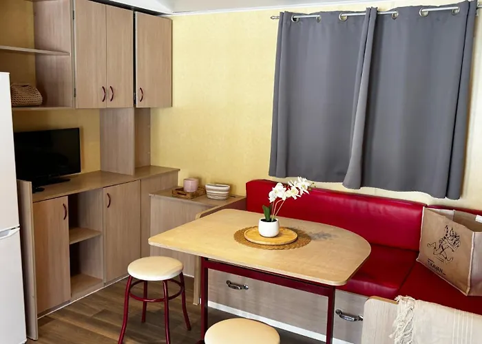 Camping le Méditerranée Hyères acceptant les animaux