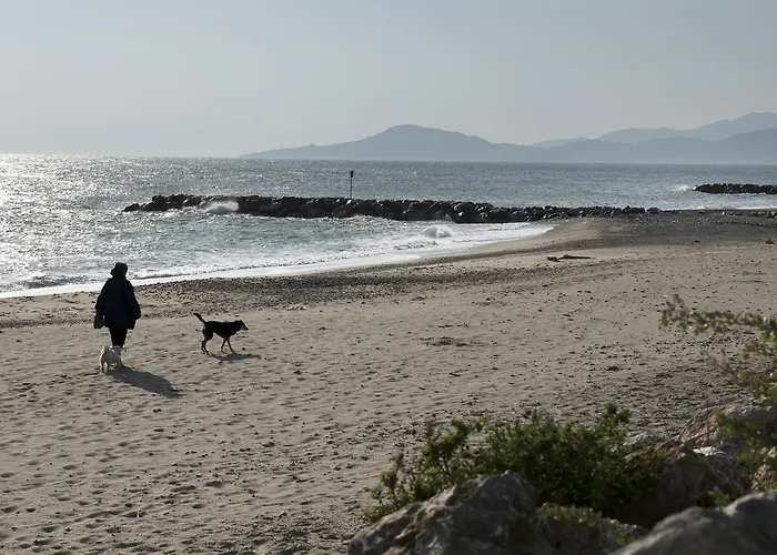Domitys Les Dunes D'argent Saint-Cyprien 