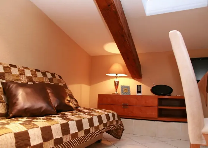 Cannes Loft Alexander che accetta animali
