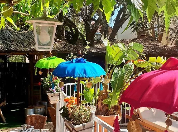 Le Mas de la Frigoulette Sanary-sur-Mer
